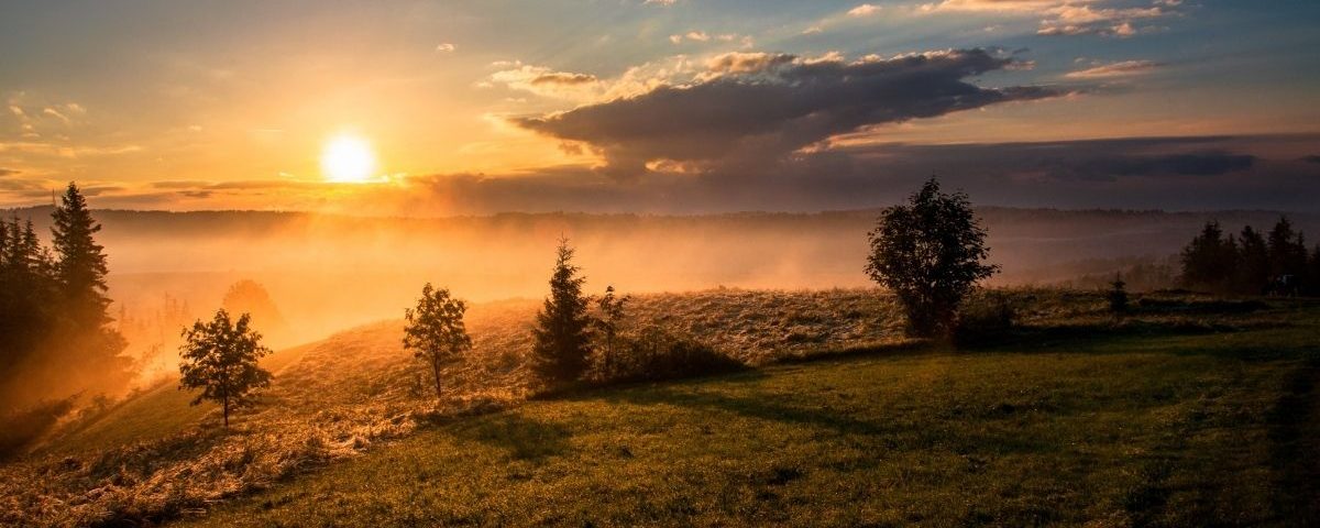 Joy and Peace