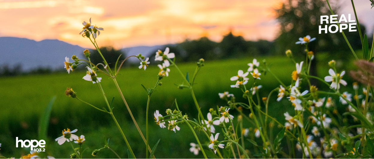 Have You Ever Asked God to Sustain You, Rather Than to Deliver You?