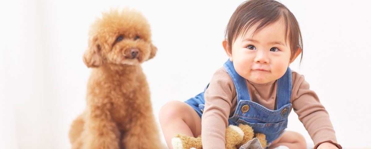 How to Introduce a New Baby or Puppy to Your Family Dog