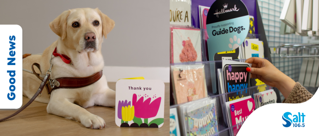 Hallmark X Guide Dogs Australia collaborate to create accessible card range. Photos supplied by Grace Tough at Keep Left for Guide Dogs Australia with permission to use Salt 2