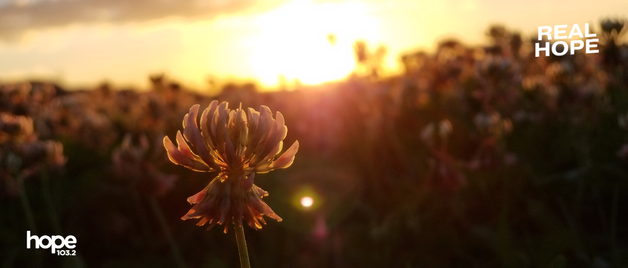 ‘Hope’ Isn’t Wishful Thinking