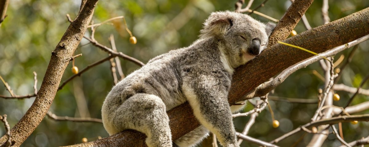 3… 2…1… Sleep: How Your Body Builds (and Loses) The Drive To Sleep