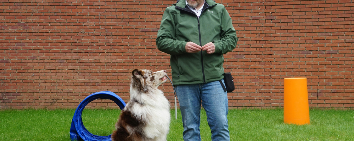 What Training My Dog Has Taught Me About Following Jesus