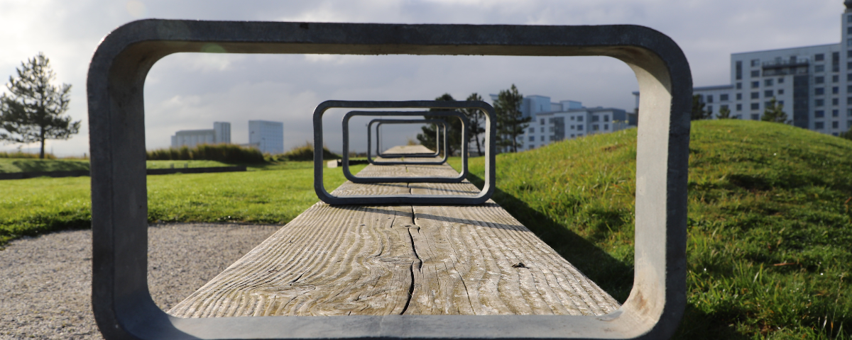 Perspective-Building: How to Start Practising Mental and Emotional Flexibility