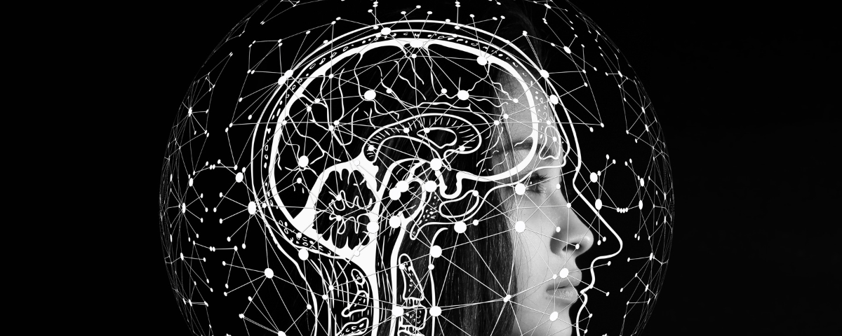 Brain and the Bible: Wonderfully Made